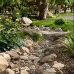 495312524_691507697148431_3175174606334153007_n