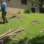 505374829_716339401331927_9114976667384230547_n